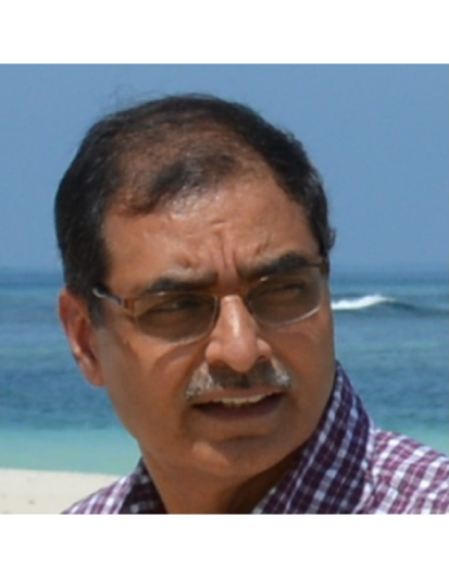 Prof. Amitav Das